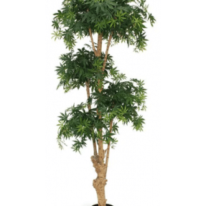 Stort kunstigt Acer Bonsai træ H170 cm - Grøn