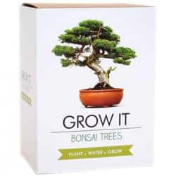 Gift Republic Grow It Kit Bonsai Trees Træ