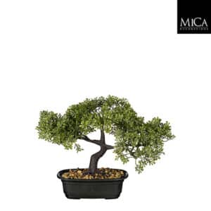 Bonsai træ 26 cm højt