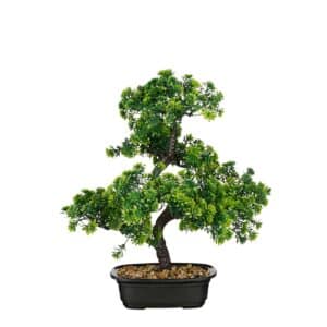 Bonsai træ 38 cm højt
